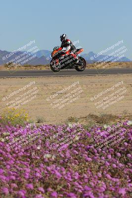 media/Feb-10-2023-2WTD (Fri) [[a356e03532]]/B Group/Session 5 (Turn 15 Blooming)/